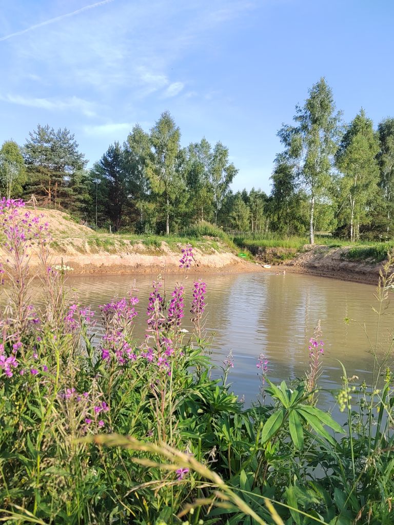 House under the stars: the kin’s domain of the Rozov family