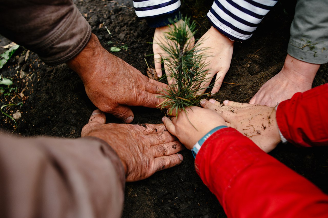 How family relationships are strengthened in the kin’s domain