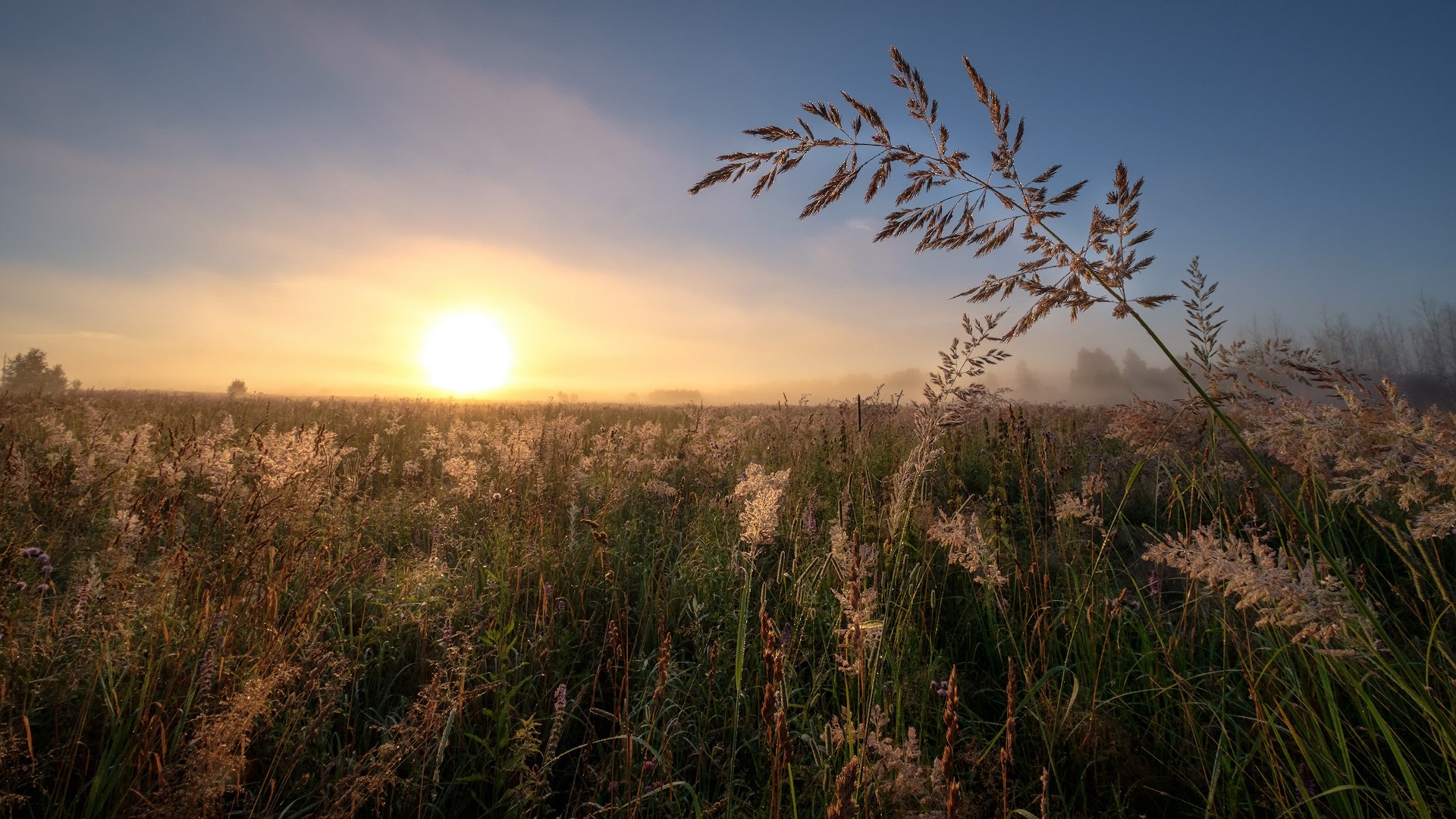 How family relationships are strengthened in the kin’s domain