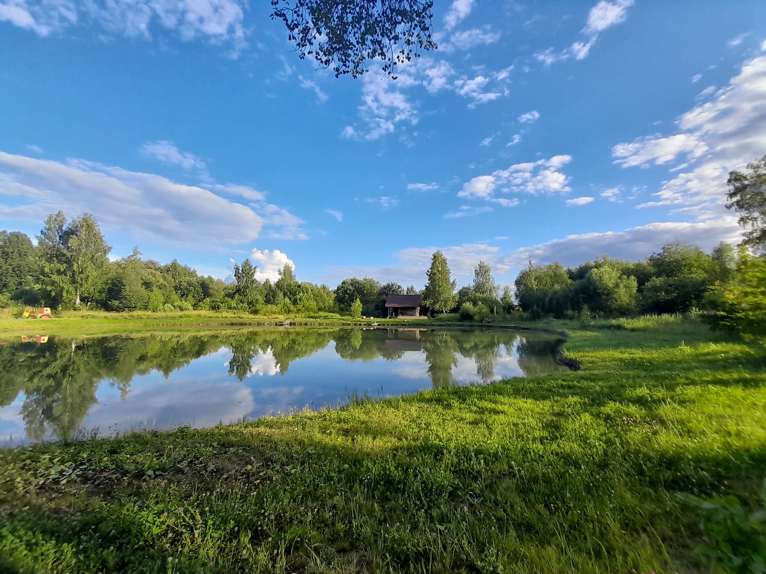 kin's domain: meaning and alternatives