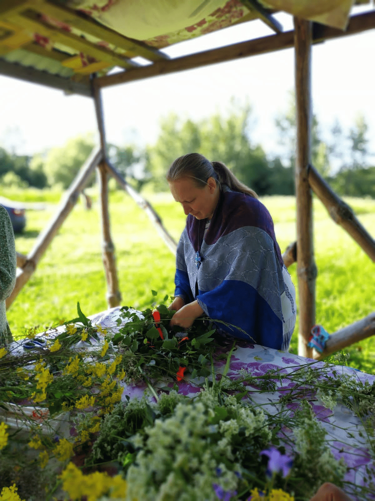 kin's domain: meaning and alternatives