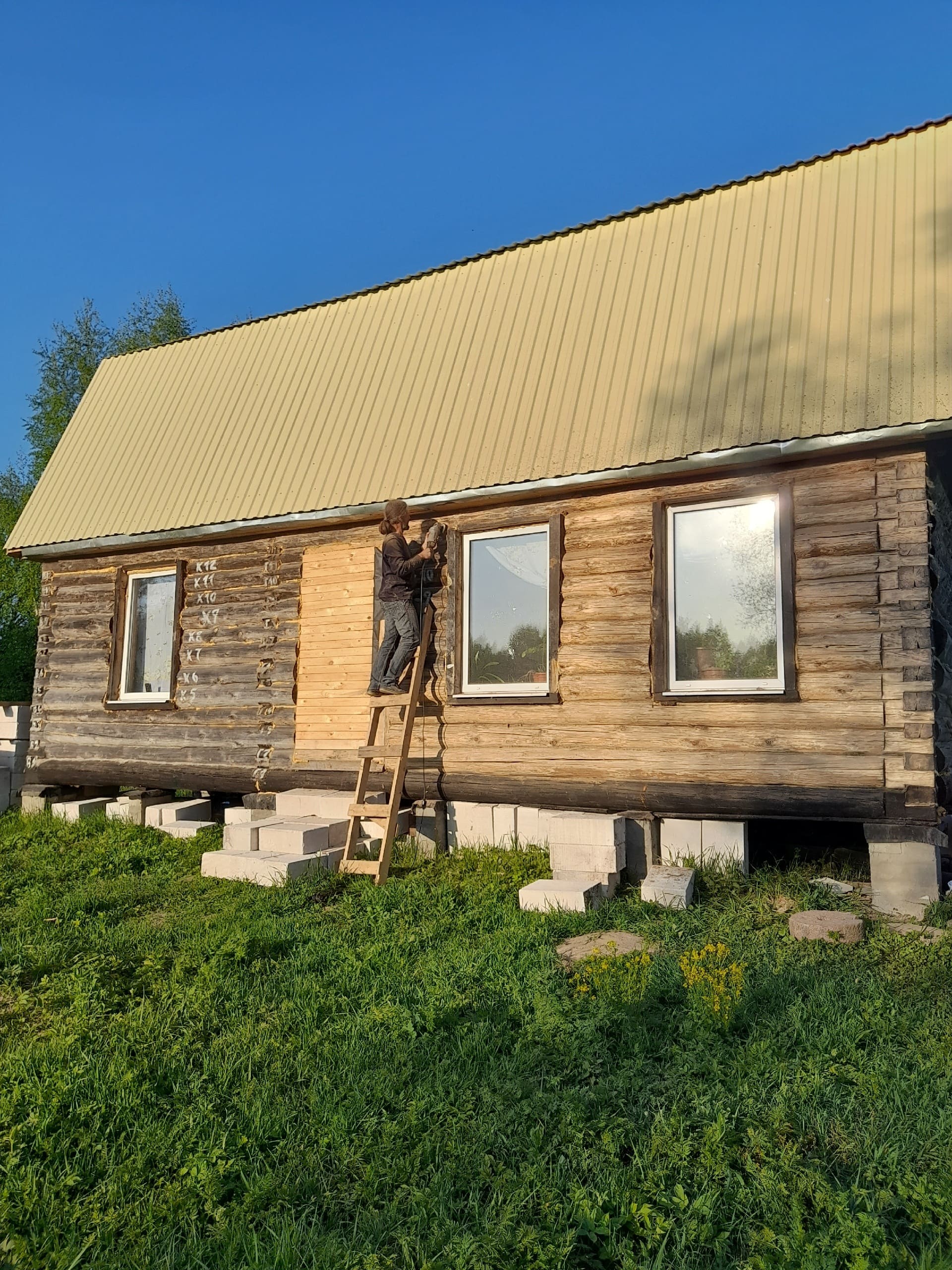 kin's domain: meaning and alternatives