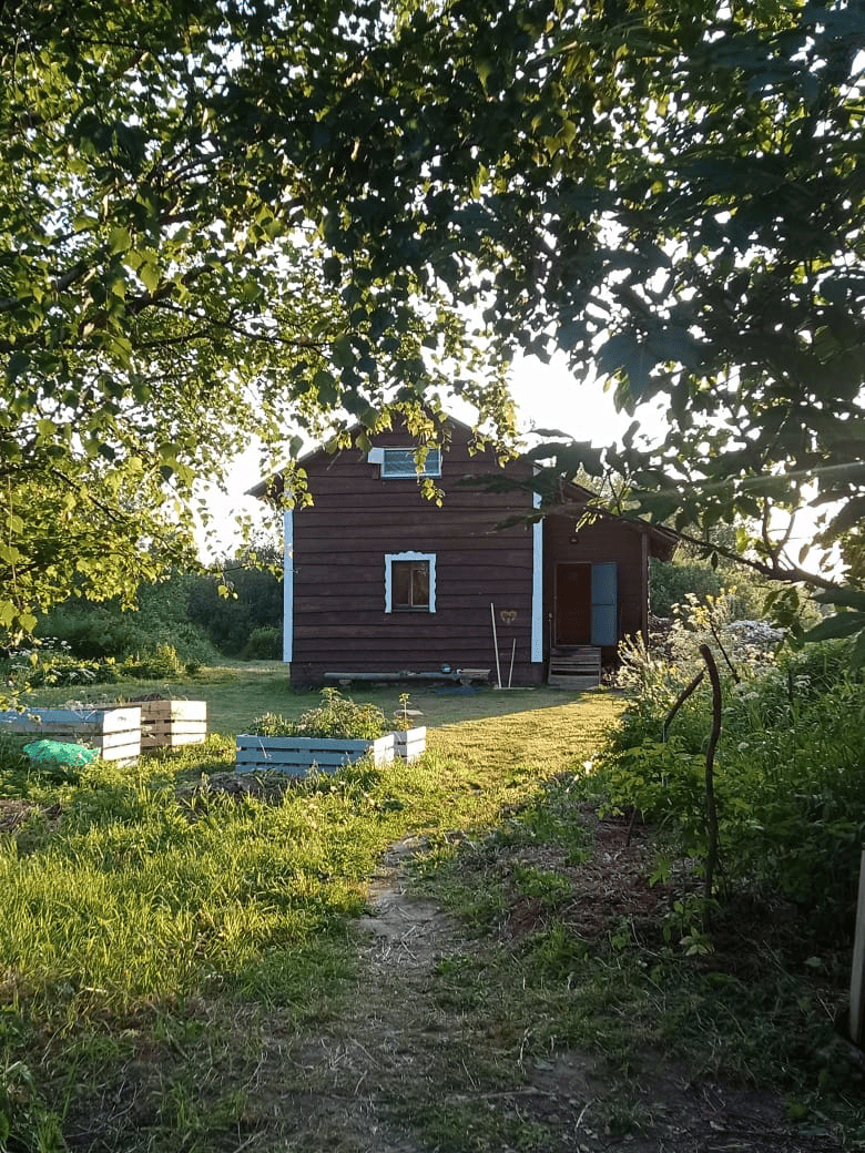 kin's domain: meaning and alternatives