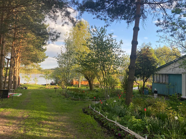 kin's domains — harmony between spirit and nature