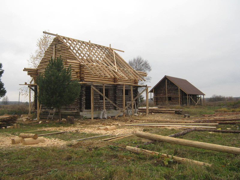 My journey to the kin’s domain