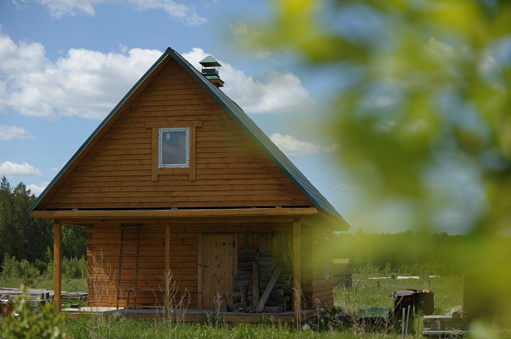 My journey to the kin’s domain