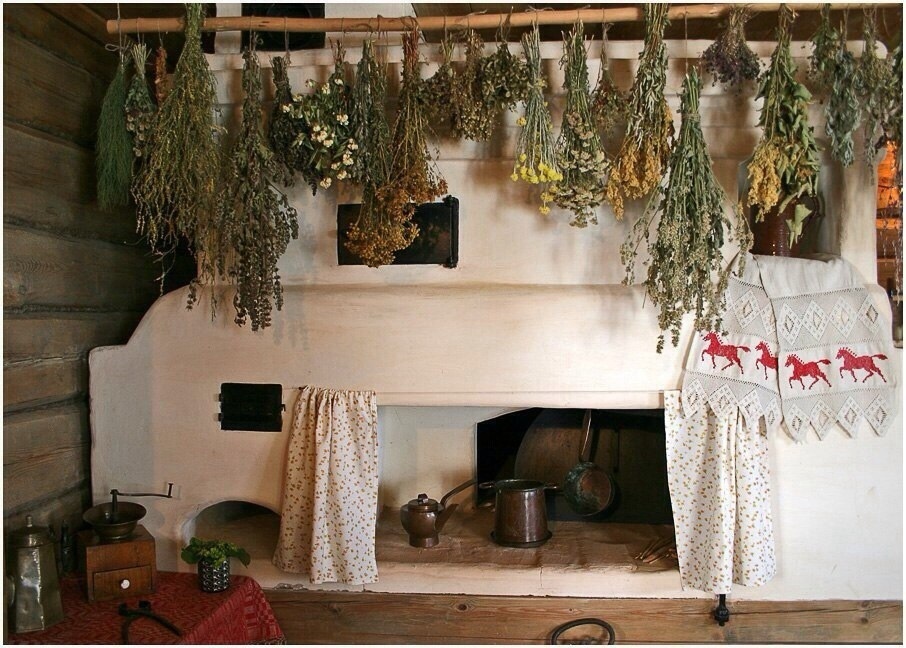 My journey to the kin’s domain