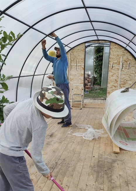 Personal experience of moving to the countryside