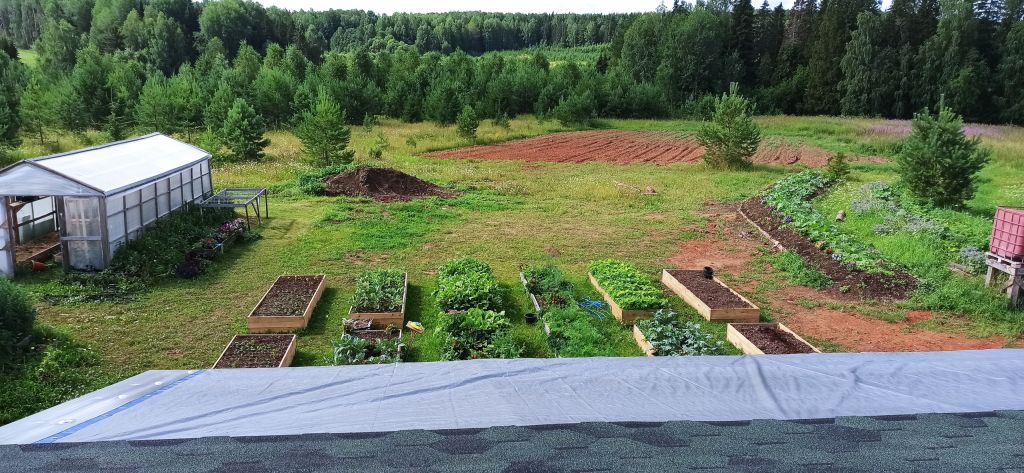 Personal experience of moving to the countryside