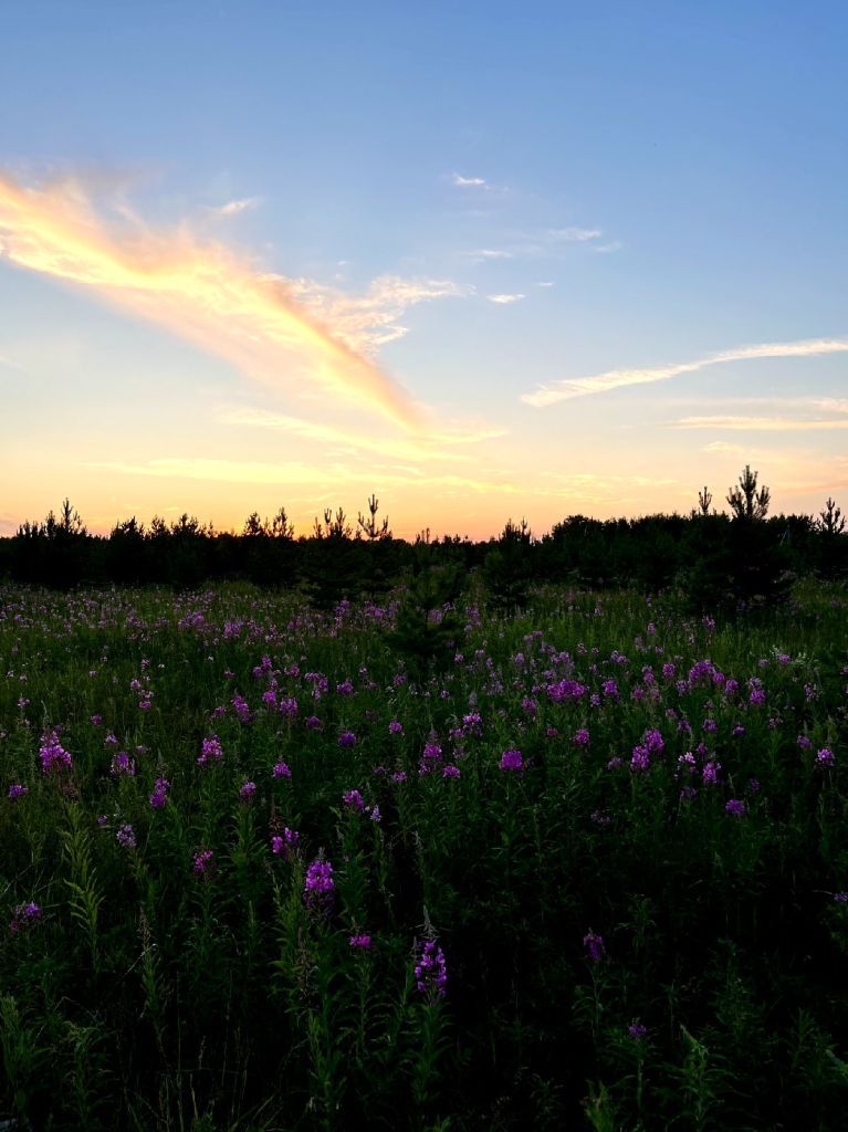 The kin's domain of the Grishin family