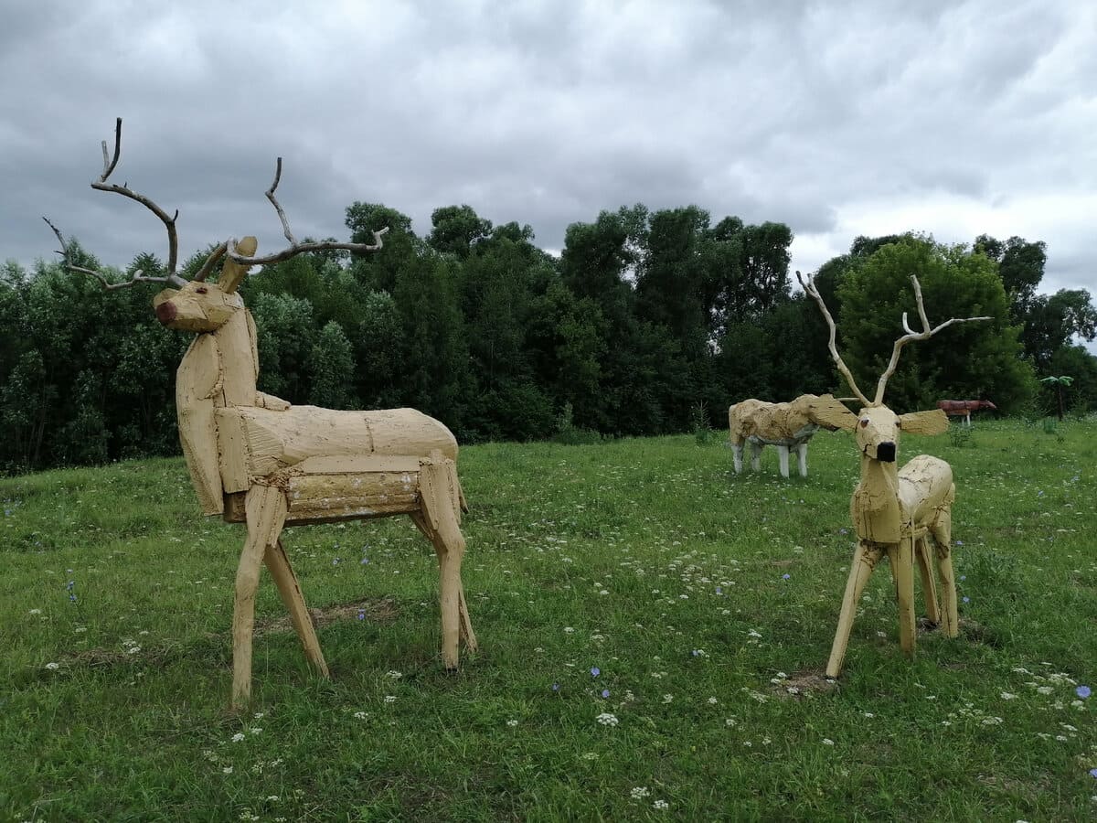 The kin's domain of the Medofiev family