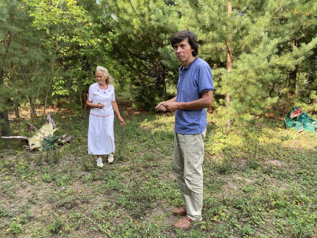 The kin's domain of the Medofiev family
