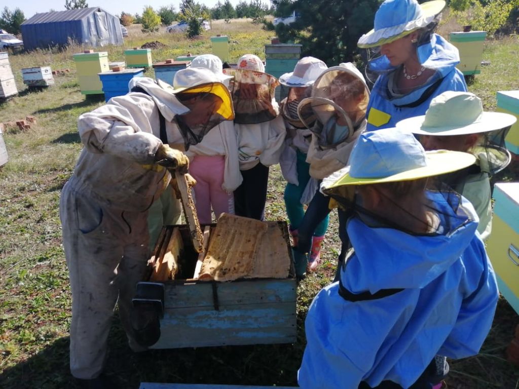 The kin's domain of the Myagchenkov family
