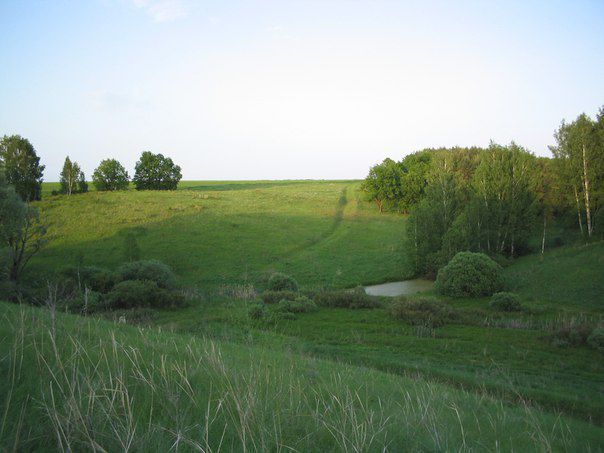 The kin's domain of the Myagchenkov family