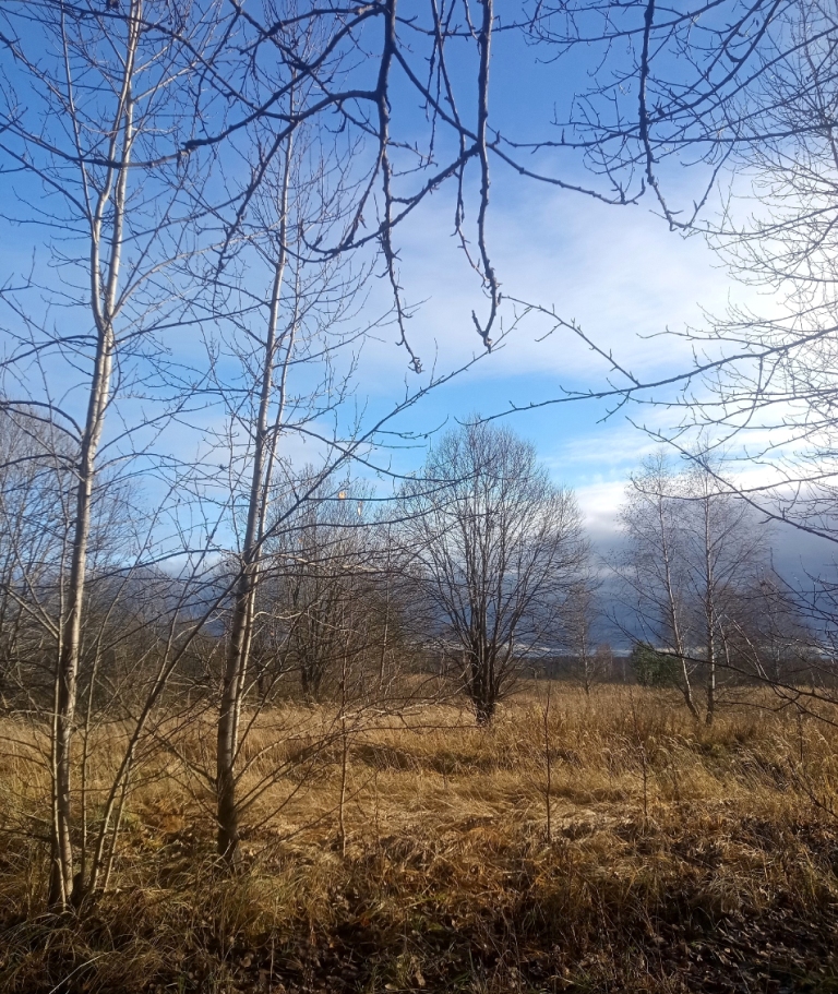 Lyubimovka is a place with a high concentration of authenticity and soulfulness