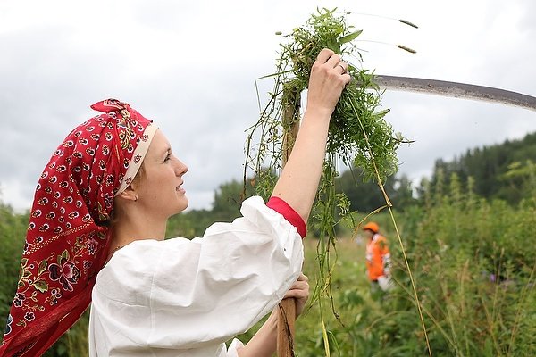 Sculptor with a trimmer: how internal image changes grass cutting and relationship with the land
