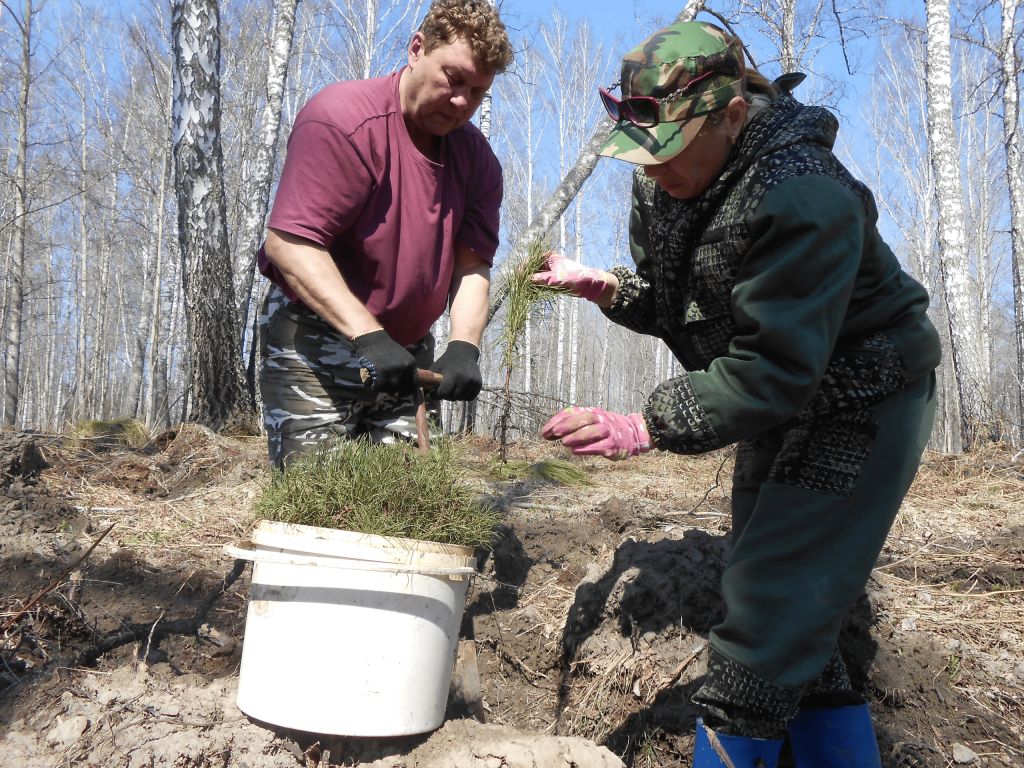 The kin's settlement Belogury