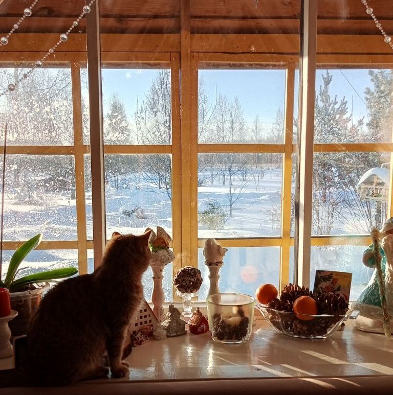 The kin's settlement Lebedushki