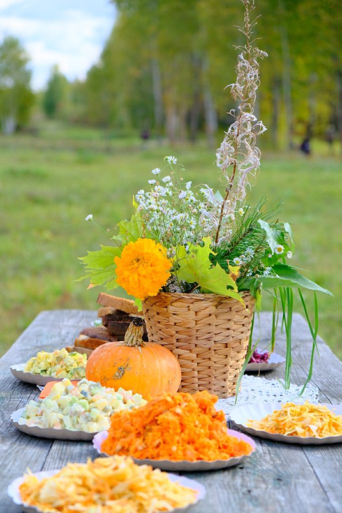 The kin's settlement Lesnaya Polyana: what's new?