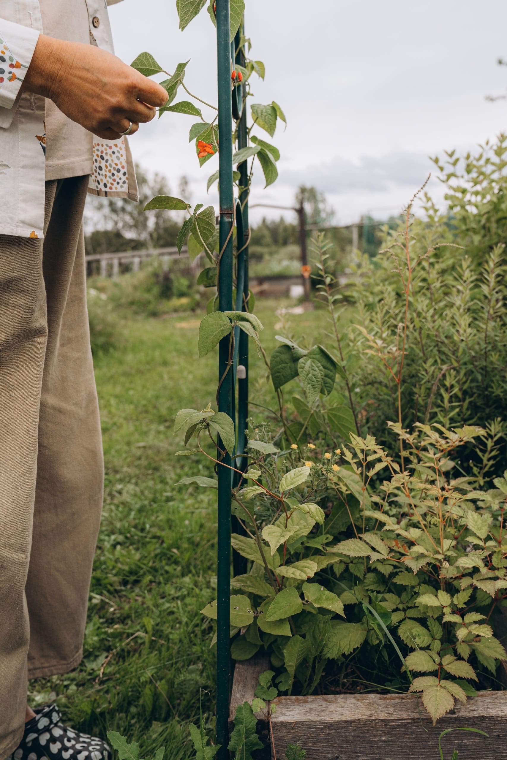 The kin's settlement Mirodolye: what's new?