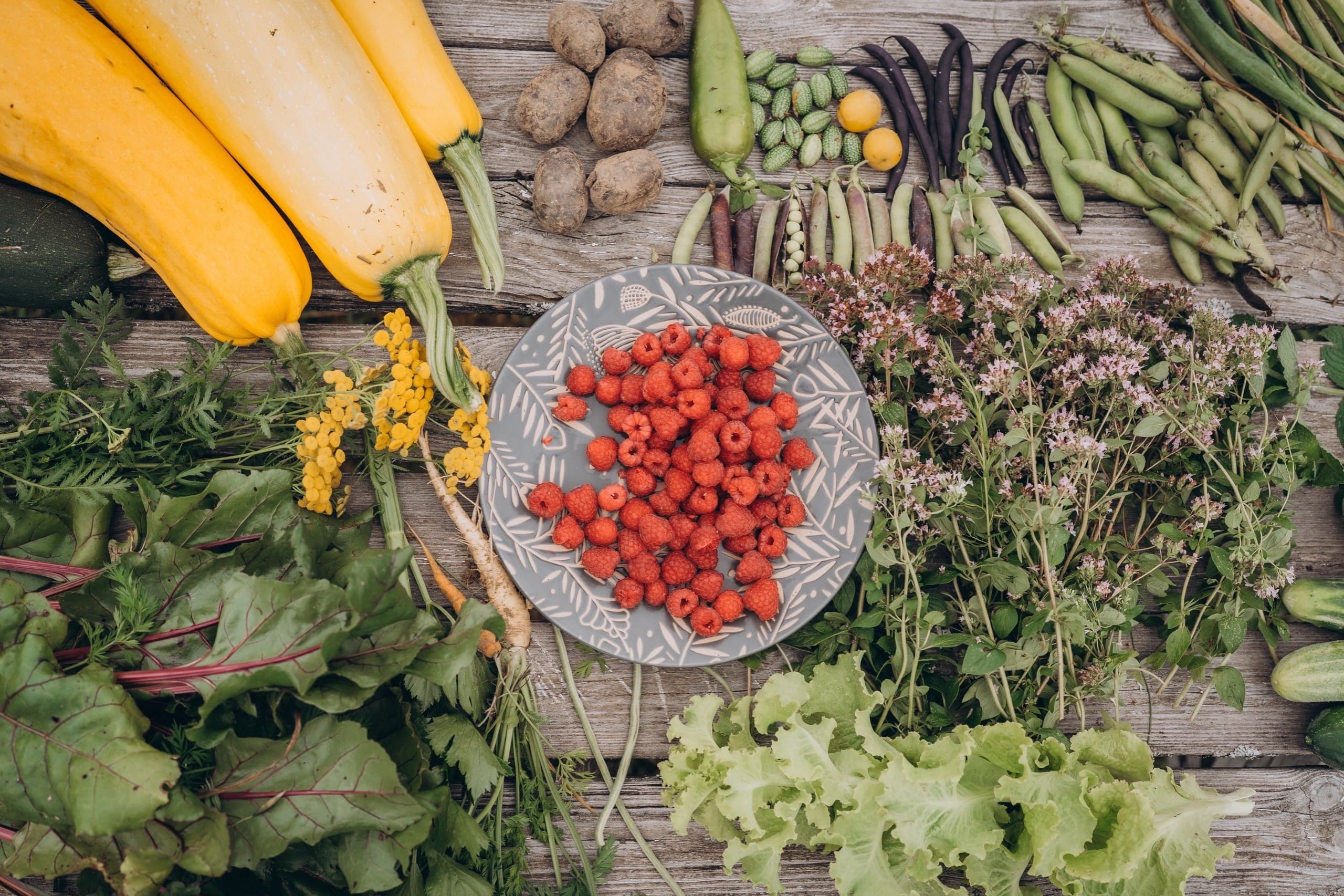 The kin's settlement Mirodolye: what's new?