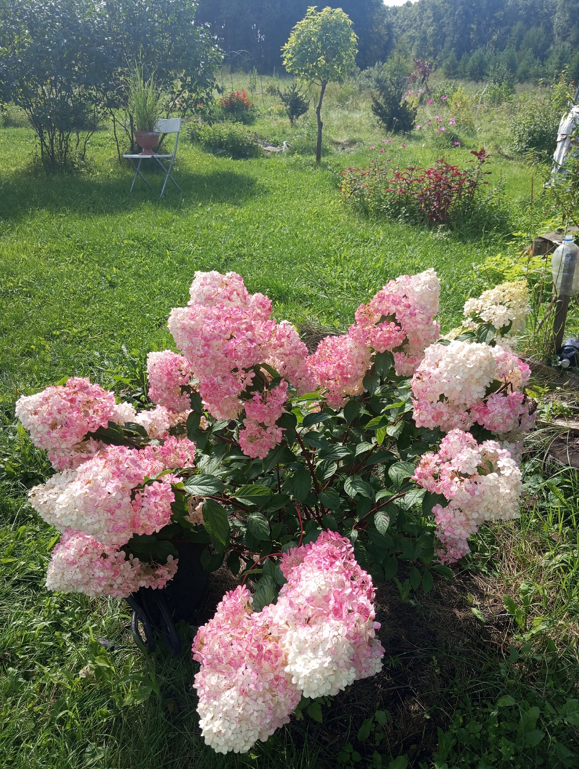 The kin's settlement Oberezhnoe: what's new?