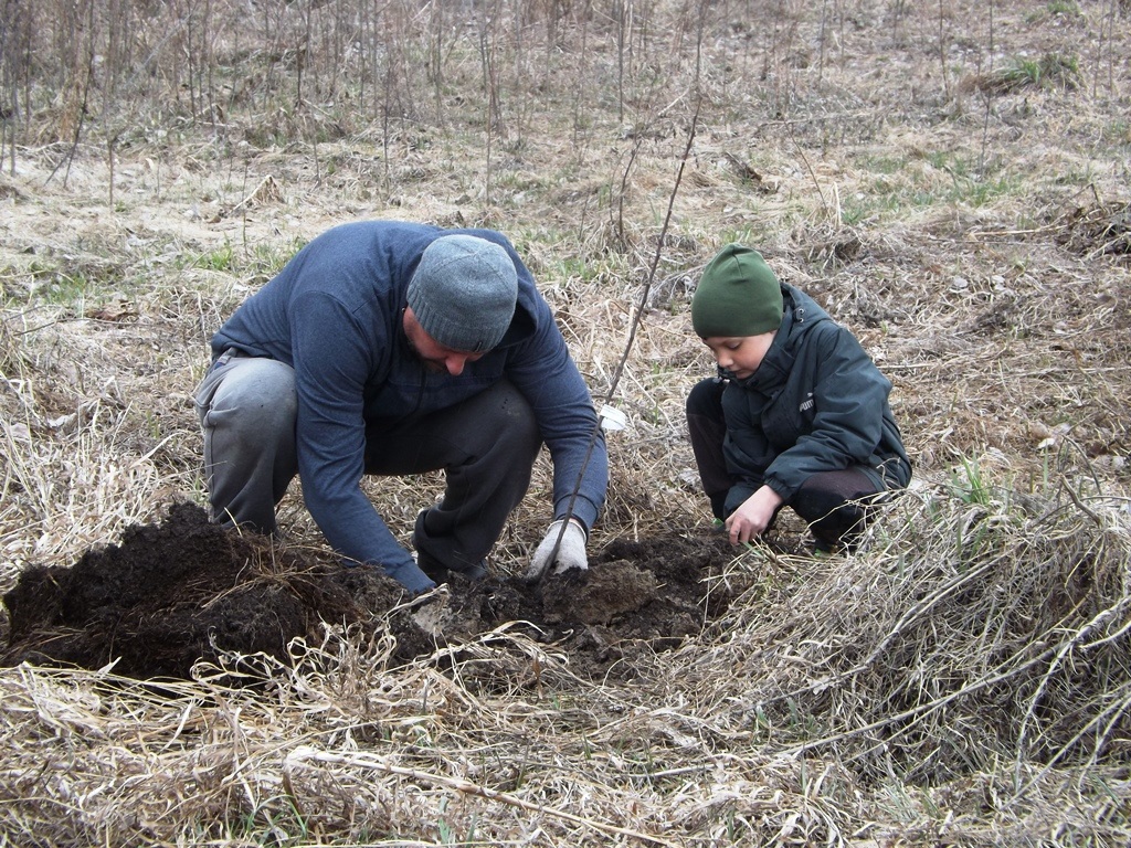 The kin's settlement Oberezhnoe: what's new?