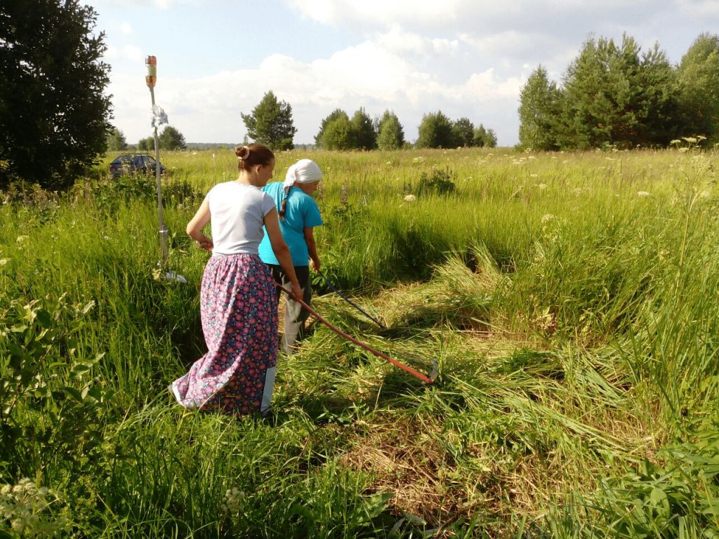 The kin's settlement VedGrad