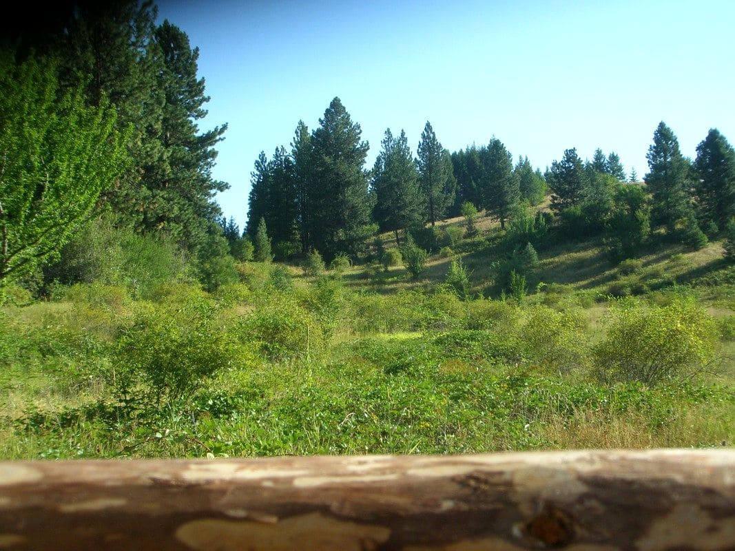 The kin's settlement Vedrica, USA