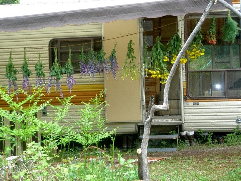 The kin's settlement Vedrica, USA