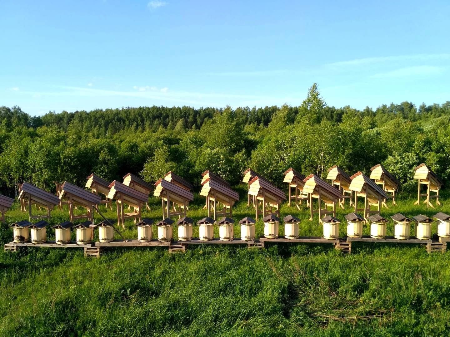 The kin’s settlement “Zhivaya Kartina