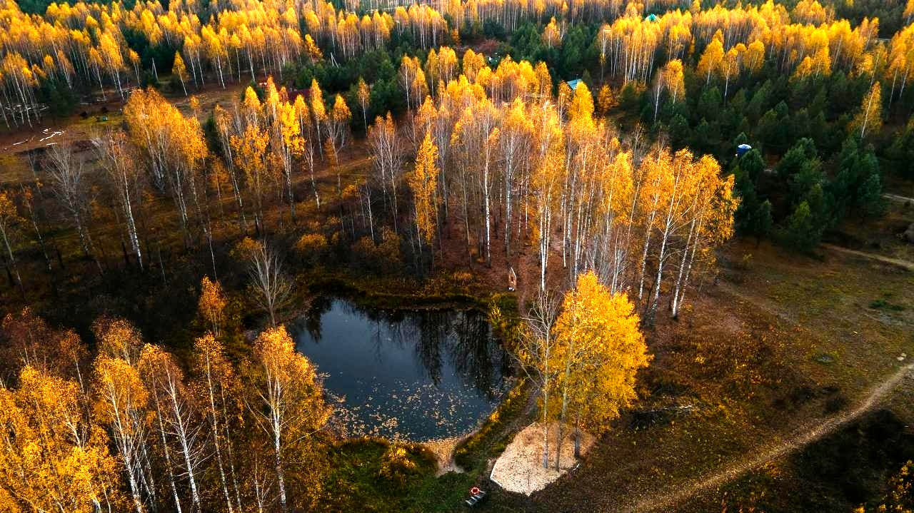 The significance of the pond in the kin’s settlement