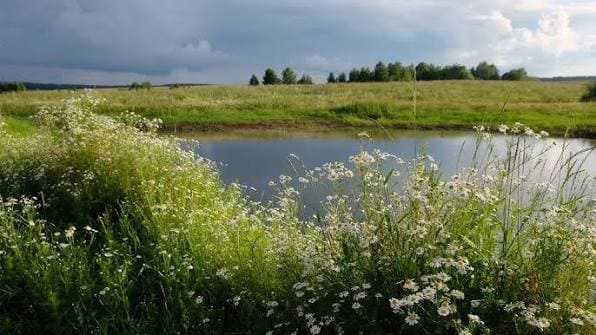 The significance of the pond in the kin’s settlement