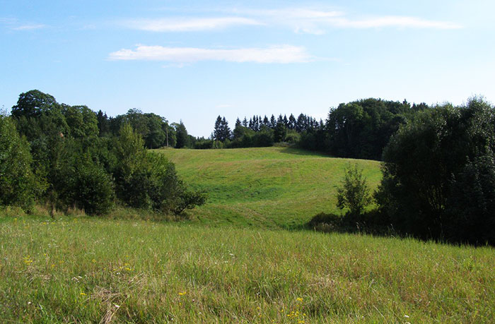 ringing cedars. kin's settlement