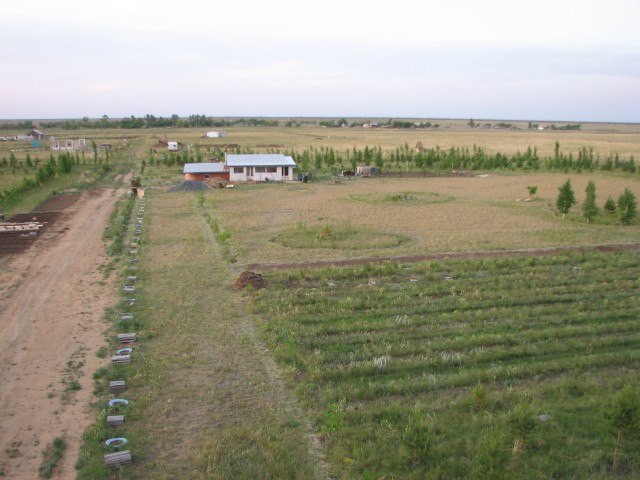 ringing cedars. kin's settlement